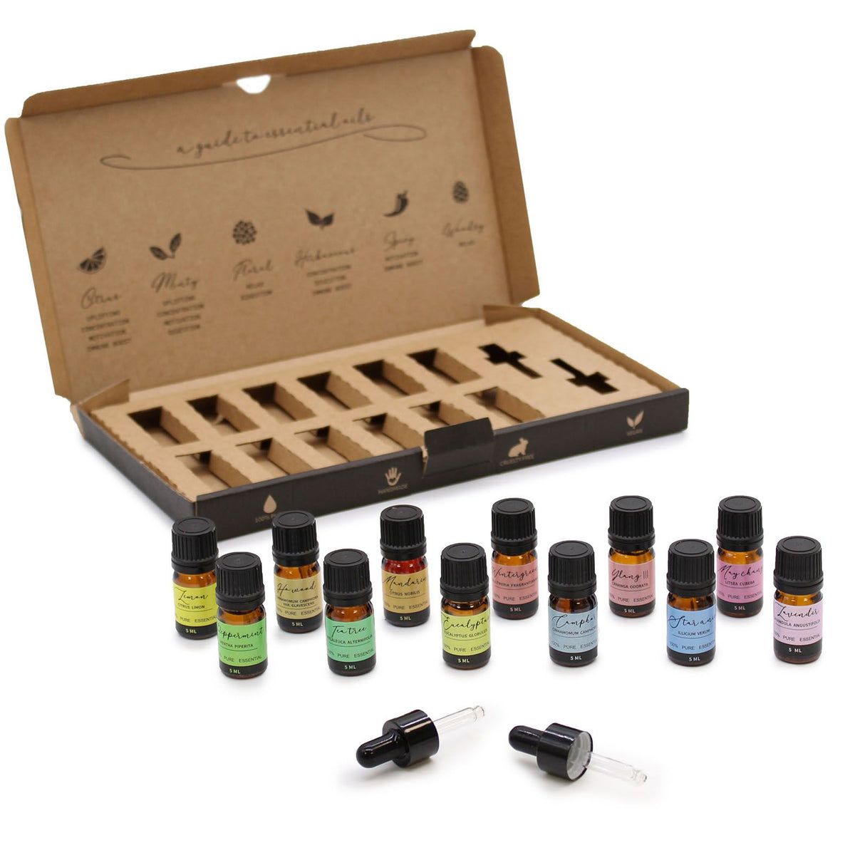 Aromatherapy Essential Oil Starter Pack - Elevate Your Space with 12 Pure Scents