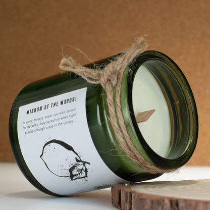 Natural Soy Woodwick Candle - Invigorating Cedar Citrus Blend for Home Ambience