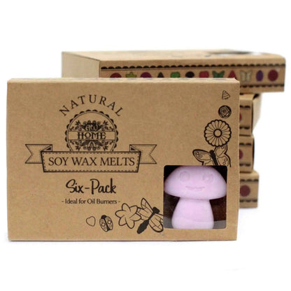 Ancient Wisdom Natural Soy Wax Melts Ylang Ylang Box 6 - Everyday Bargainz