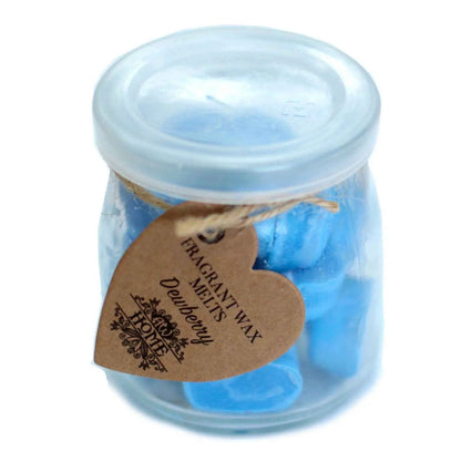 Ancient Wisdom Soywax Melts Jar Dewberry Fragrance - Everyday Bargainz