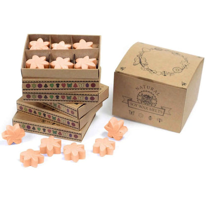 Ancient Wisdom Natural Soy Wax Melts Box Of 6 Tuberose - Everyday Bargainz