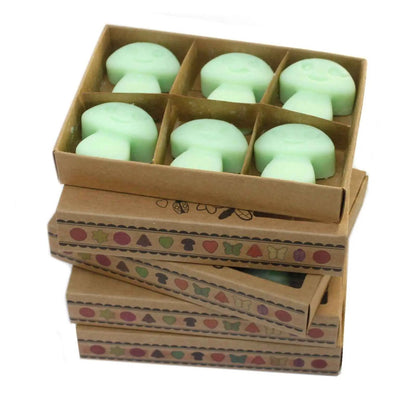 Ancient Wisdom Natural Soy Wax Melts Liquorice Six Pack - Everyday Bargainz