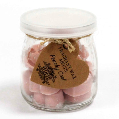 Ancient Wisdom Soywax Fragrant Melts Jar Peachy Cool - Everyday Bargainz