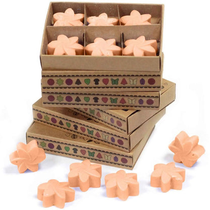 Ancient Wisdom Natural Soy Wax Melts Box Of 6 Tuberose - Everyday Bargainz