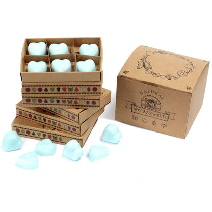Ancient Wisdom Nag Champa Natural Soy Wax Melts Box Of Six - Everyday Bargainz