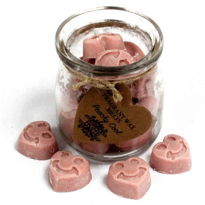 Ancient Wisdom Soywax Fragrant Melts Jar Peachy Cool - Everyday Bargainz