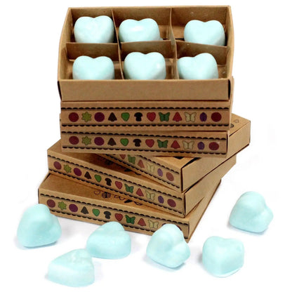 Ancient Wisdom Nag Champa Natural Soy Wax Melts Box Of Six - Everyday Bargainz