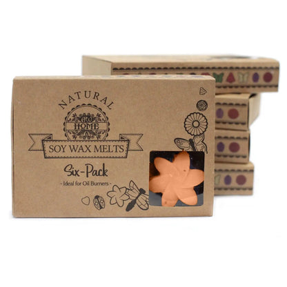 Ancient Wisdom Natural Soy Wax Melts Box Of 6 Tuberose - Everyday Bargainz