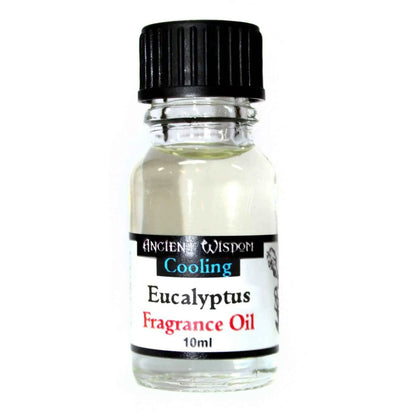 Ancient Wisdom Eucalyptus Fragrance Oil 10ml Long Lasting Diffusion - Everyday Bargainz