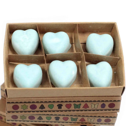 Ancient Wisdom Nag Champa Natural Soy Wax Melts Box Of Six - Everyday Bargainz