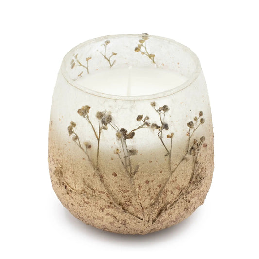 AW Dropship UK Medium Glass Jar Candles - Wildlight Woods - Glass Jar Candles