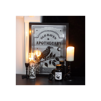 N/A Mystic Raven Pillar Candle Holder -