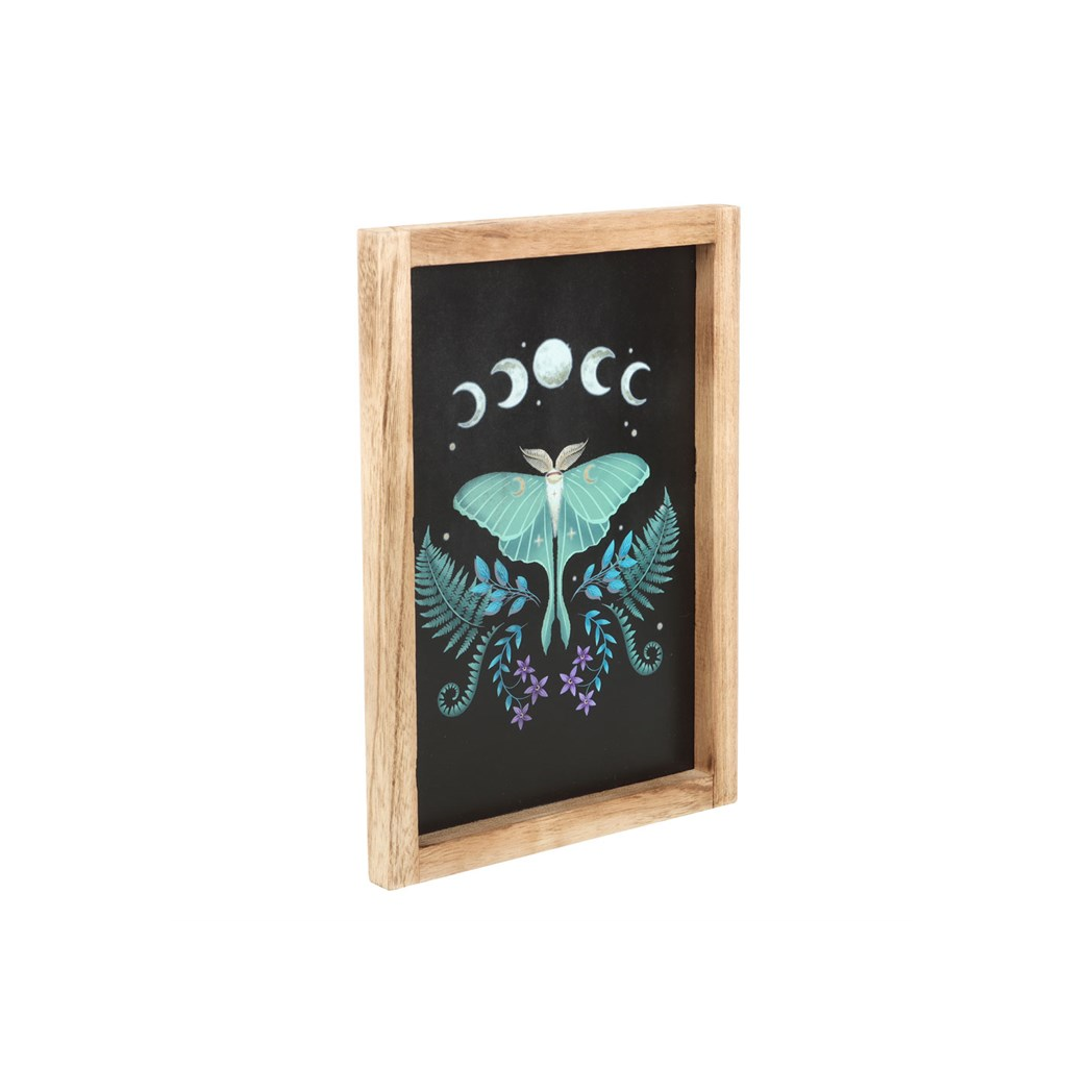 Luna Moth Wall Art – Framed Wooden Botanical Print