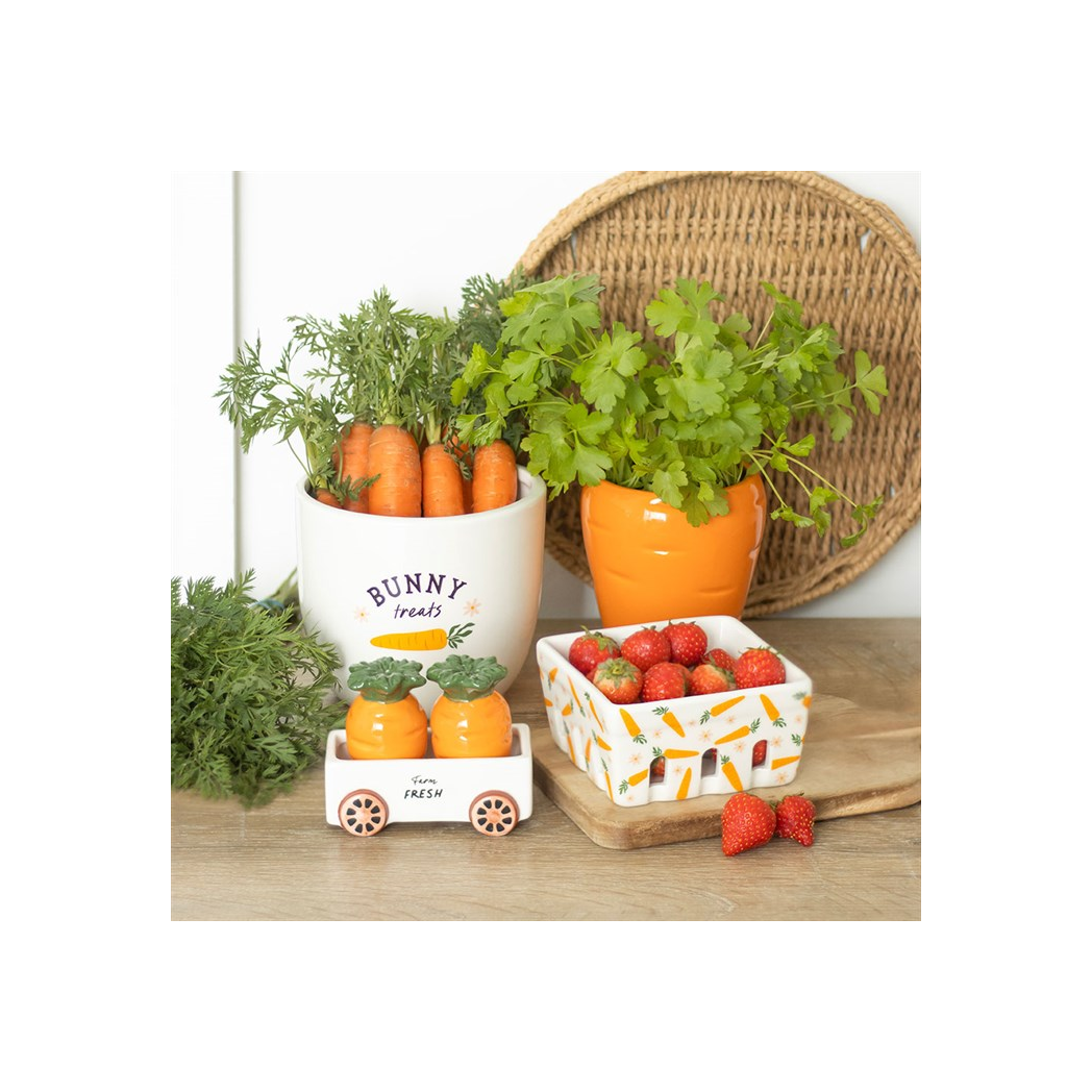 Carrot Shaped Plant Pot: Grow Fresh Herbs with Fun and Style!