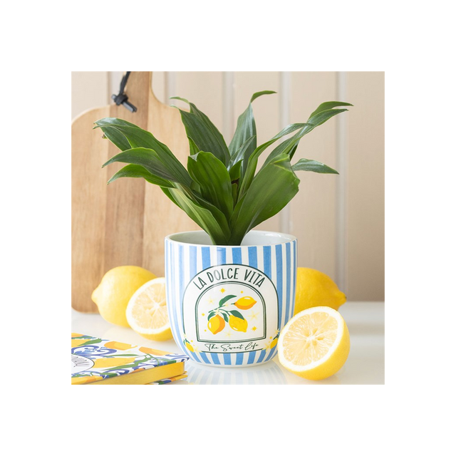 Charming Blue Striped Plant Pot for Your Coastal Decor