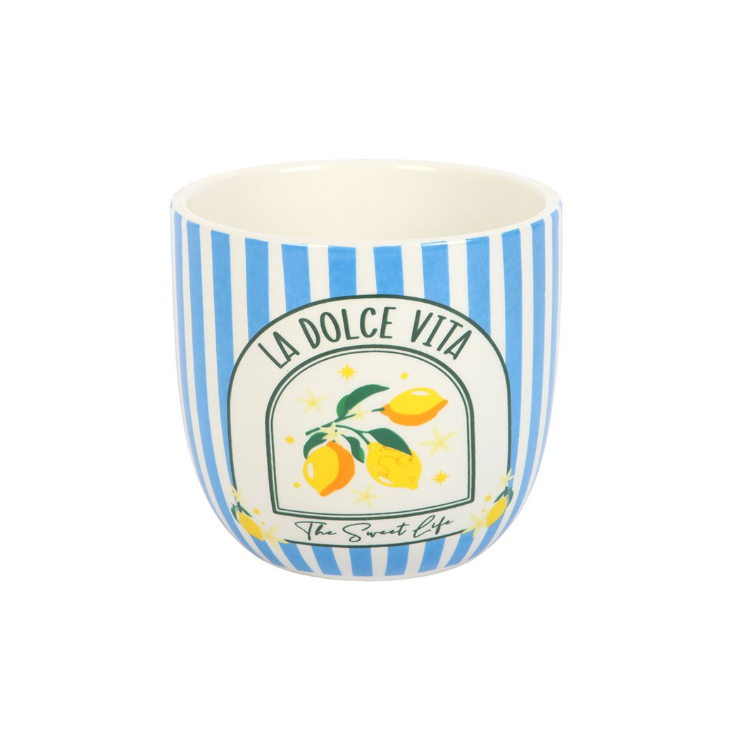 Charming Blue Striped Plant Pot for Your Coastal Decor
