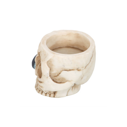 N/A Skull Tealight Holder with Snake -