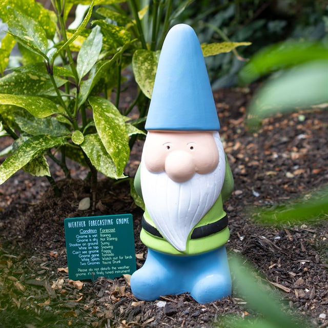 Delightful Large Weather Forecasting Gnome for Your Garden