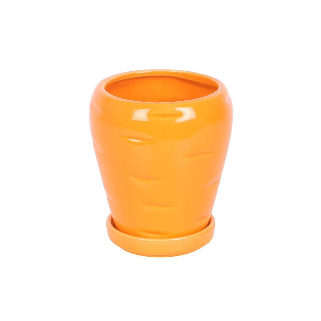 Carrot Shaped Plant Pot: Grow Fresh Herbs with Fun and Style!