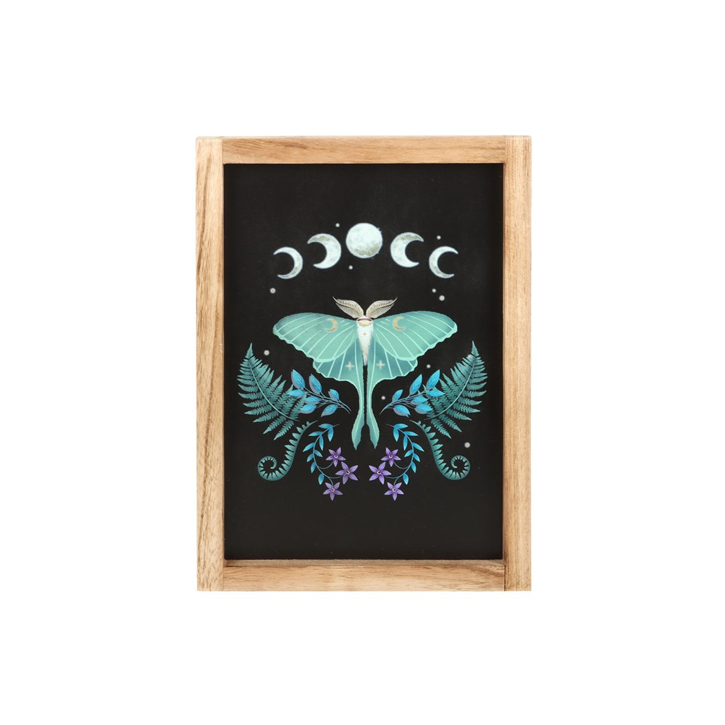 Luna Moth Wall Art – Framed Wooden Botanical Print