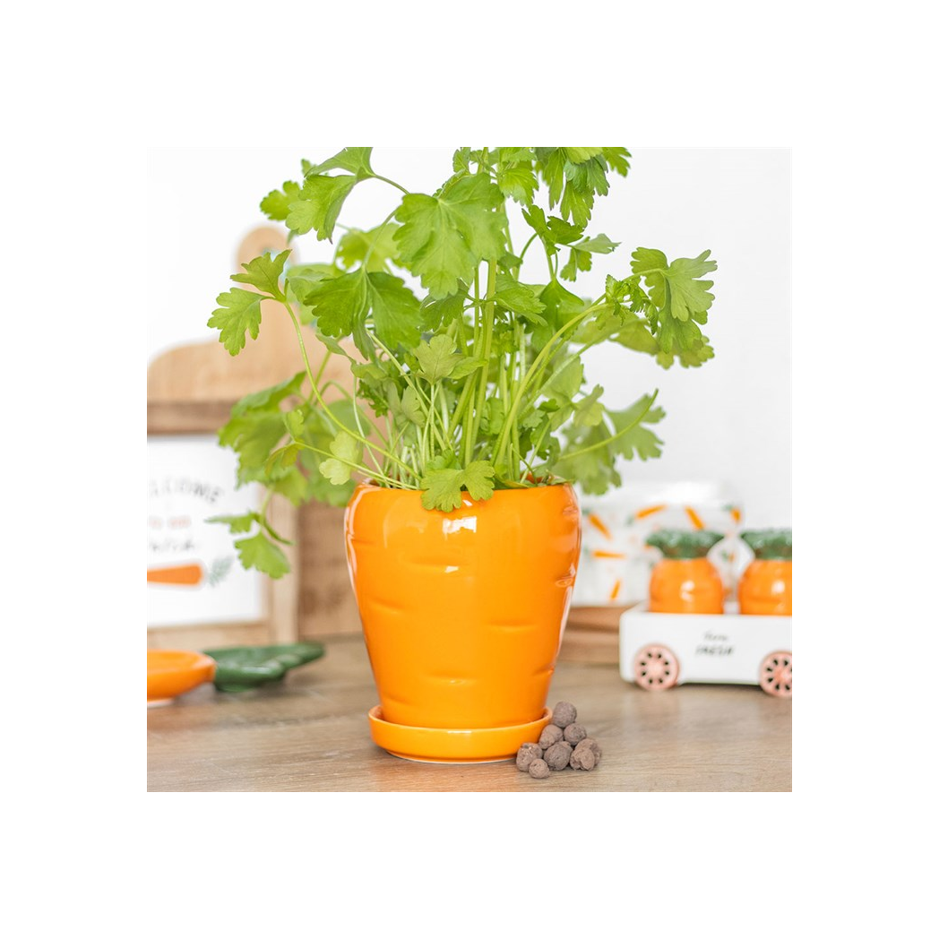 Carrot Shaped Plant Pot: Grow Fresh Herbs with Fun and Style!