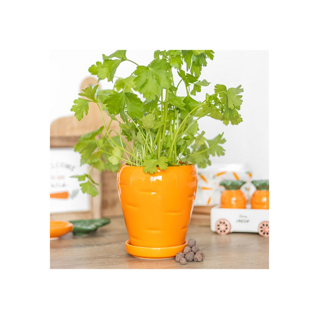 Carrot Shaped Plant Pot: Grow Fresh Herbs with Fun and Style!