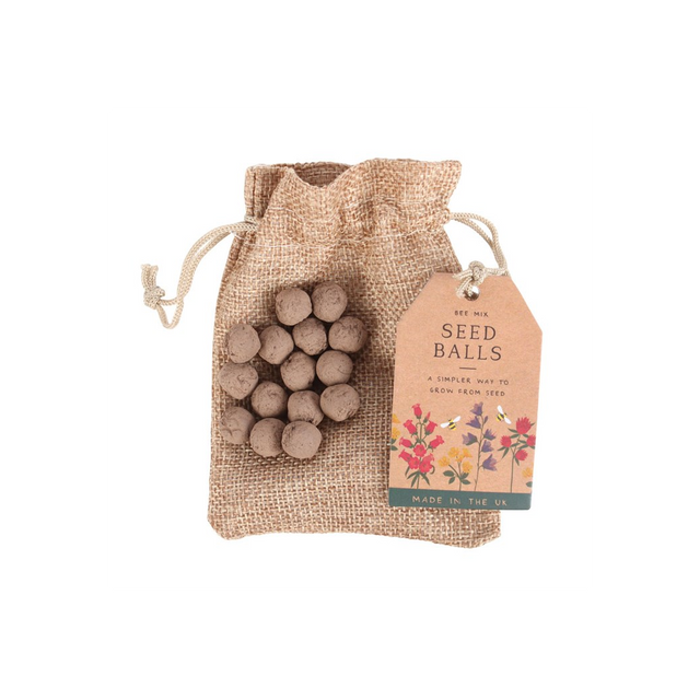 Transform Your Space with 24 Garden Seed Balls for Vibrant Wildflowers