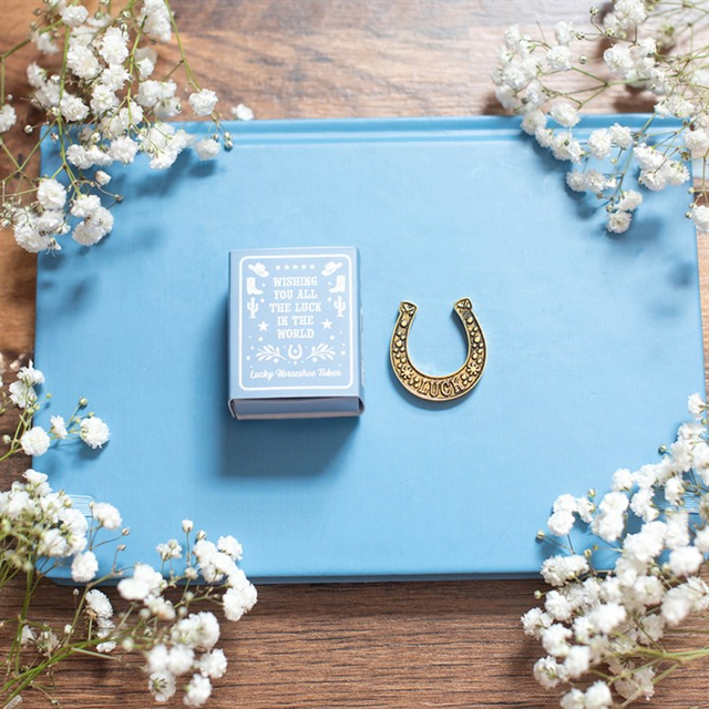 Lucky Horseshoe Token Gifts: A Set of 24 Charms for Good Fortune